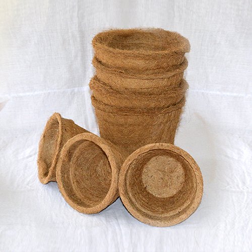 Coir Pot